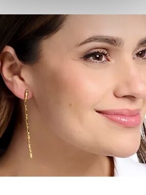 Christian James by Scott Grimes 14K Clad Luciano 3" Chain Earrings New with Box